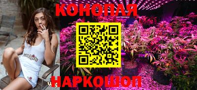 мдма Кингисепп