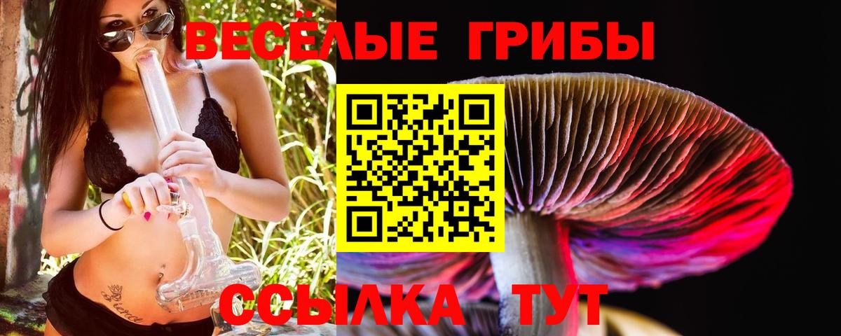 Псилоцибиновые грибы Magic Shrooms Кудымкар