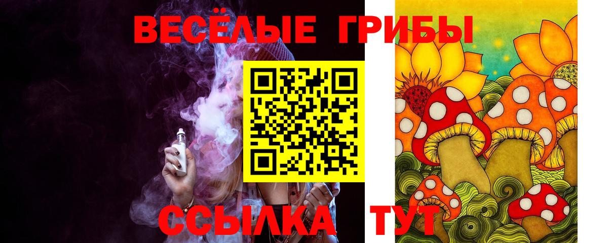 где найти   Вход с VPN  Кудымкар  Псилоцибиновые грибы мицелий 